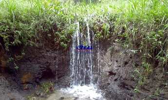 Imagem: Fazenda á venda em Bonfim por R$ 1.800.000,00!