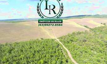 Imagem 6: Fazenda Oportunidade 127 Alqueires Próximo a Palmas