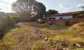 Imagem 2: Terreno para alugar no Cristo Rei