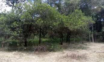 Imagem 2: Terreno de 3 hectares com água