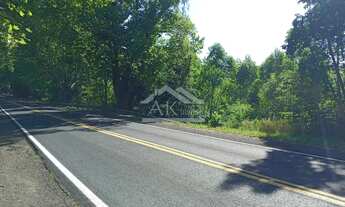 Imagem 3: Área de terras com duas frentes à venda para a BR 116 em Picada Café na Serra Gaúcha