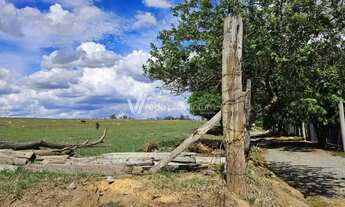 Imagem 4: área - Sitio São Miguel - Conchal