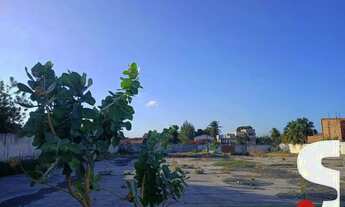 Imagem 4: TERRENO para aluguel, 15 vagas, Vila Peri - Fortaleza/CE