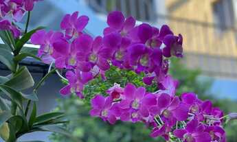 Imagem 7: Aluguel facilitado com tudo incluso