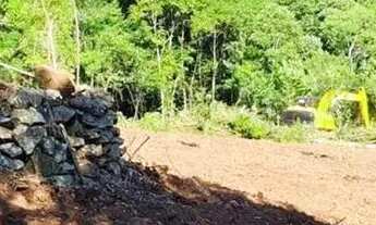 Imagem 2: Sítio / Chácara para Venda em Nova Petrópolis, Linha Riachuelo