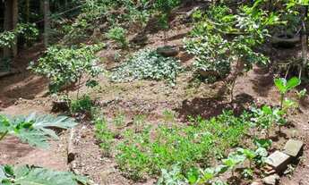 Imagem 7: MiniChácara/Terreno 1170m² Mairiporã! C/ Edícula, Pomar e água, luz . 25Km de SP