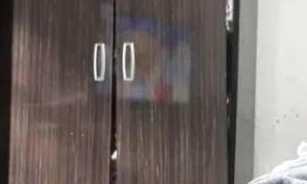 Imagem 4: CASA TÉRREA - VILA PALMARES - SP