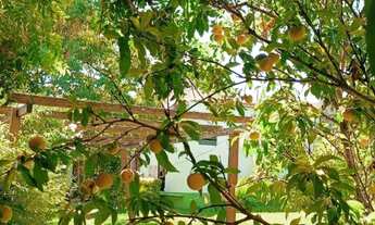 Imagem 5: Raridade no Mercado: Casa 150m², 4 Quartos, Financiável por R$ 380 mil