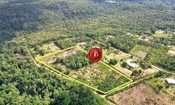 Imagem 5: Terreno com 6.000m² na Avenida Cláudio Mesquita, Tarumã-Açu