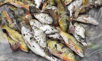 Imagem 2: VENDE-SE/TROCO tel: