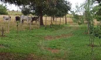 Imagem 3: Vendo ótimo sítio ESCRITURADO E REGISTRADO em nova Petrópolis