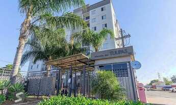 Imagem 3: Apartamento em Igara