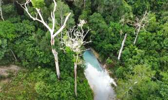 Imagem 5: SÍTIO 250X1000 (25 HECTARES) CASA COM 2 PISCINAS, IGARAPÉ COM NASCENTE, POÇO ARTESIANO