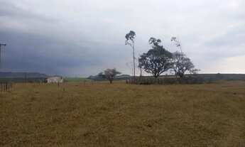 Imagem 2: Sítio bom para café ,abacate ,grãos