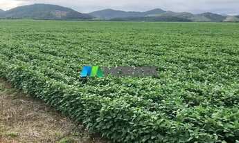 Imagem 5: FAZENDA À VENDA - 4.665 HECTARES - REGIÃO DE PONTE NOVA (MG