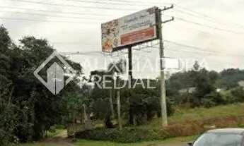 Imagem 4: Area de terras na BR116 em Estancia Velha