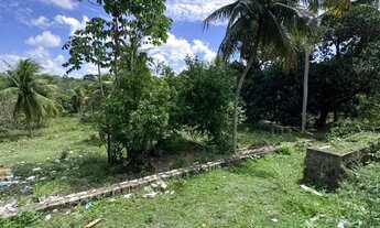 Imagem 7: Chacará espaçosa no Bairro Guarapes