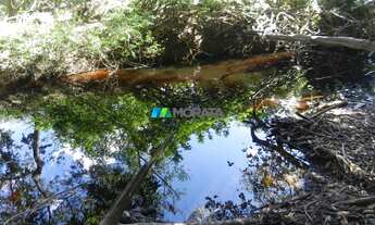 Imagem 7: FAZENDA À VENDA - 1.033 HECTARES - ENGENHEIRO DOLABELA (MG