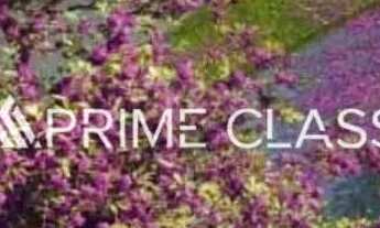 Imagem 7: Terreno no Cidade