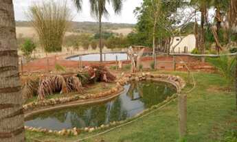 Imagem 2: Chácara meio alqueire