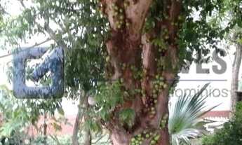 Imagem 4: Terreno Comercial 400 m² em Santo André (Utinga) Venda