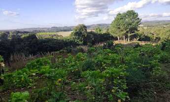Imagem 4: Chácara 20.000m2 Fazenda Rio Grande