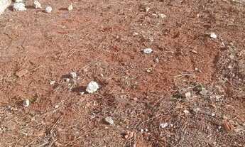 Imagem 2: Lote na Ponte Alta Norte 450 MTS