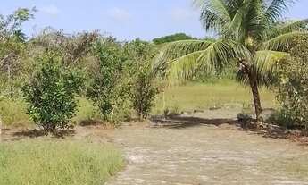 Imagem 5: SÍTIO Salinopolis 200 metros pista, 10 minutos praia Atalaia