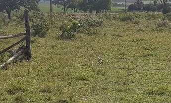 Imagem 3: Sítio 5 alqueires município de cristalina