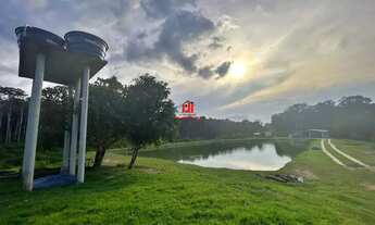 Imagem 7: Fazenda com 128 Hectares disponível pra Venda na Br 174 KM 75