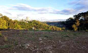 Imagem 2: CAXIAS DO SUL - Terreno Padrão - MONTE BÉRICO