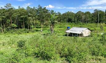 Imagem 16: Fazenda a 25 km de Feijo
