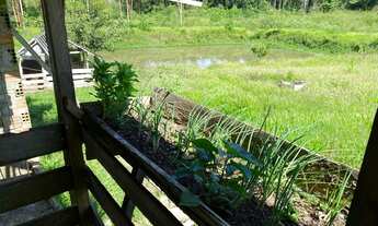 Imagem 15: Fazenda a 25 km de Feijo