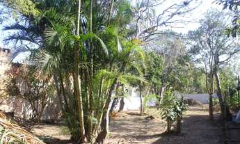 Imagem 4: FLORIANóPOLIS - Terreno Padrão - Tapera da Base