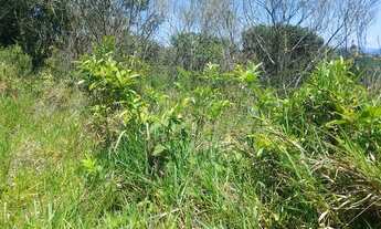 Imagem: Vendo Lote/Terreno para venda em Águas