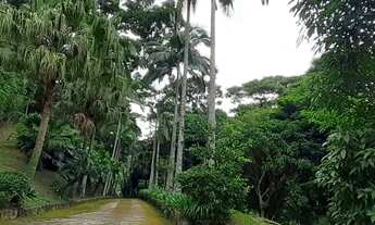 Imagem: Sítio à venda em Pedro do Rio, belíssima
