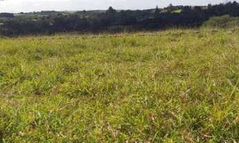 Imagem 5: Terreno com 411.000 e 920.000 Castelo Branco