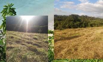 Imagem 4: T/26* Garanta já seu terreno com vista ampla