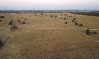 Imagem 4: Fazenda para venda possui m2 Municipio de Jussara GO