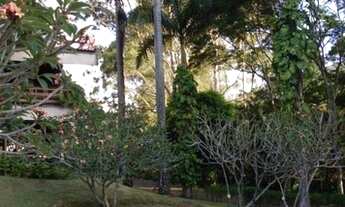 Imagem 6: CABREÚVA - RURAL - BANANAL