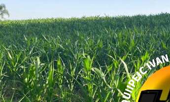 Imagem 6: Terrenos e chácaras no Interior próximo a Represa