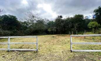 Imagem 2: CHÁCARA COM RIACHO A 1 KM DA RS020