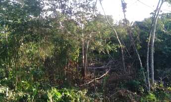 Imagem: Terreno no Mararu