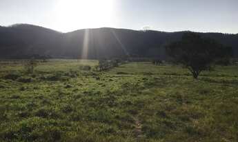 Imagem 2: Terrenos direto no asfalto