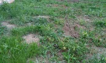 Imagem 4: Terreno Terreno / lote com venda por R$20.000