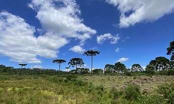 Imagem 5: Terreno Rural Urubici/Sítio 5 hectares Urubici
