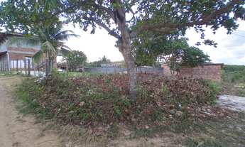 Imagem 2: TERRENO Á VENDA EM SITIO-NOVO/SUBAUMA