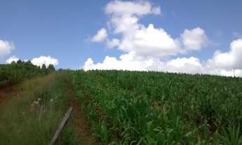 Imagem 6: Terreno à venda, Rio Acima, Vargem, SP