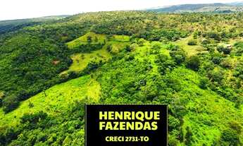 Imagem 4: Fazenda Luzimangues 216 hectares 25 km