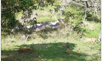 Imagem 4: Terreno para você de campinas